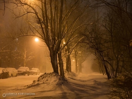 Сильный снег в конце марта ожидается в Карелии