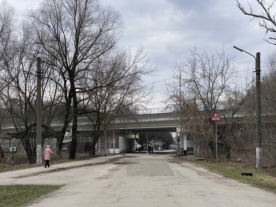 В Лесопарке Рязани из-за половодья временно закрыли Центр «Под мостом»