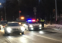 Полицейский автомобиль сбил пешехода в воскресенье вечером на трассе Москва-Касимов в Раменском городском округе Подмосковья