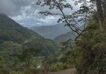 Глава МИД Панамы Джанаина Тевани сообщила, что в Америке растет иммиграция через «смертоносные джунгли» долины Дарьен