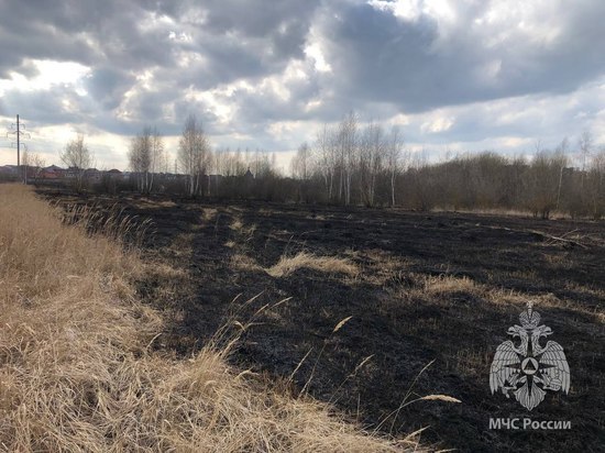 В Пензенской области начала гореть сухая трава