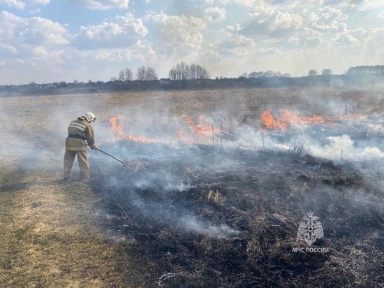 В Курской области за неделю пожарные машины выезжали по тревоге почти 200 раз