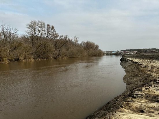 СК проверит информацию о загрязнении рек отходами в Лискинском районе под Воронежем