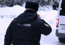 Личность женщины, найденной 26 марта у мусорного контейнера на улице Изумрудная в подмосковной Балашихе, установили полицейские