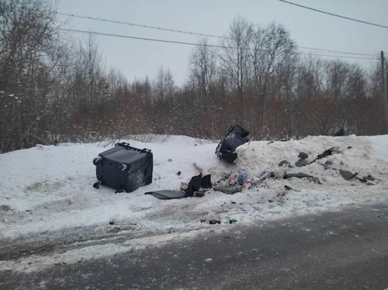 В Олонецком районе Карелии легковой автомобиль снес мусорные баки