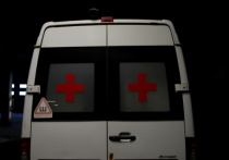 В Приморском крае восьмилетняя девочка погибла под колесами автомобиля собственного отца