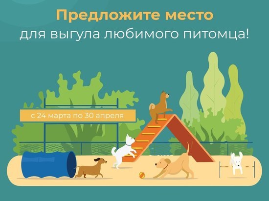 В Серпухове выбирают место для выгула собак
