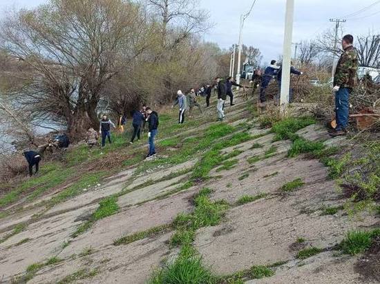 В Краснодаре к субботникам присоединились более 10 000 горожан