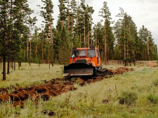 В Бурятии выделили более 800 миллионов рублей на охрану лесов от пожаров