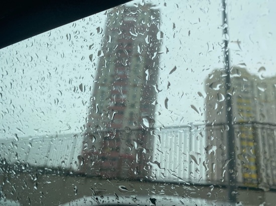 Из-за ветра и дождя водителей Ростовской области предупредили о риске ДТП