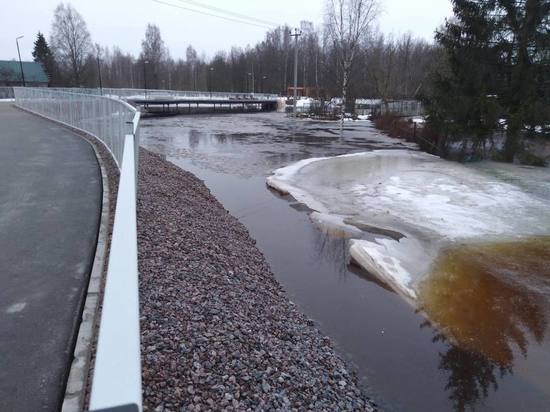 Спасатели проверили уровень воды в реке в Тосно и Никольском