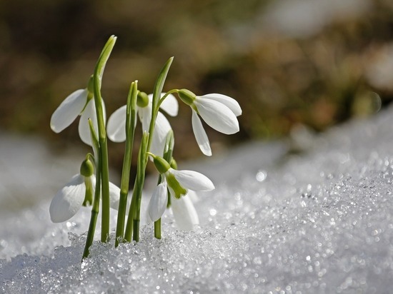 Синоптики рассказали, какая погода ждет смолян на Никандров день