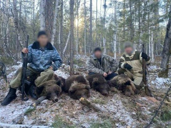 В Качугском районе завели дело на браконьеров, убивших медведей