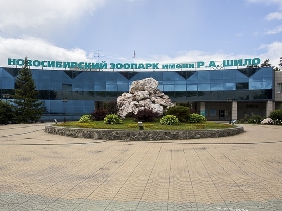 В Новосибирском зоопарке билеты подорожают до 500 рублей с 1 апреля