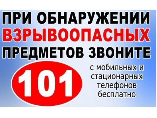 В Ельне нашли и уничтожили более ста взрывоопасных предметов времен войны