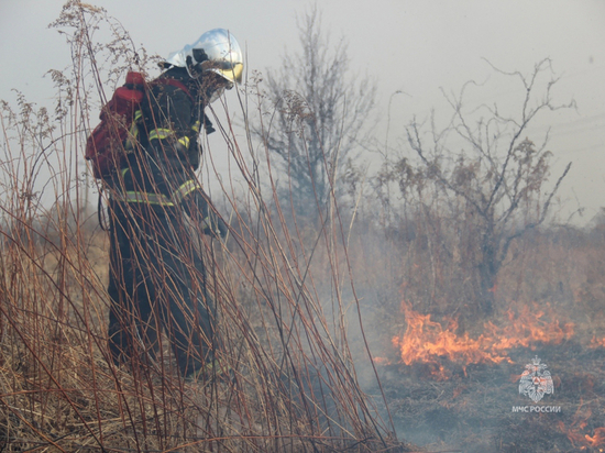 Первый в 2023 году противопожарный режим установили в Хабаровском крае