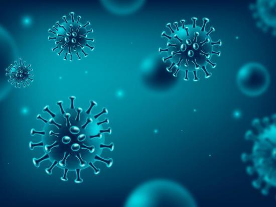 В Хакасии подтверждён 51 случай заражения коронавирусом за минувшие сутки