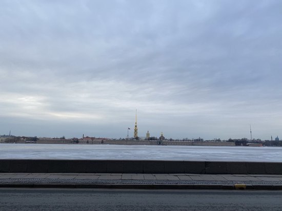 Мокрый снег и до +3 градусов тепла ожидаются в Петербурге 28 марта