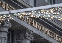 Казенные учреждения в России являются самым многочисленным типом федеральных госструктур