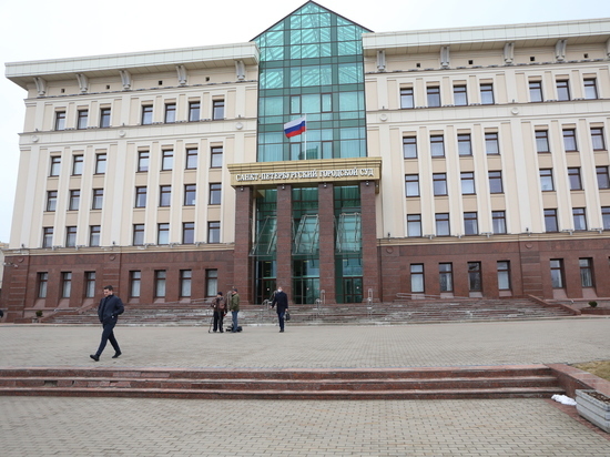 Отделение партии «Парнас» ликвидировали в Петербурге из-за несданных отчетов