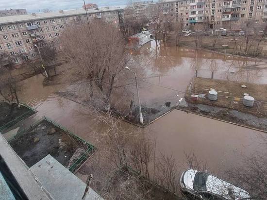 Больше 30 лет жители Красноярска не могут избавиться от огромной лужи с утками во дворе