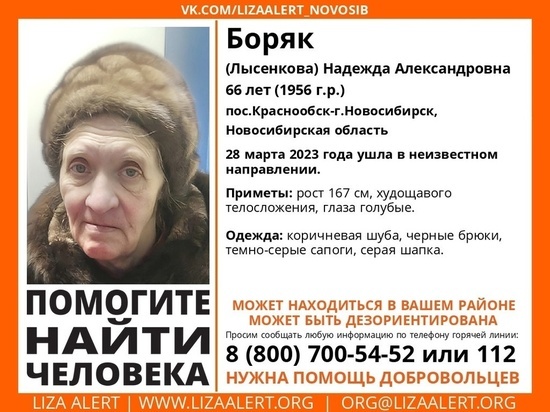 В Новосибирске объявили в розыск дезориентированную пенсионерку