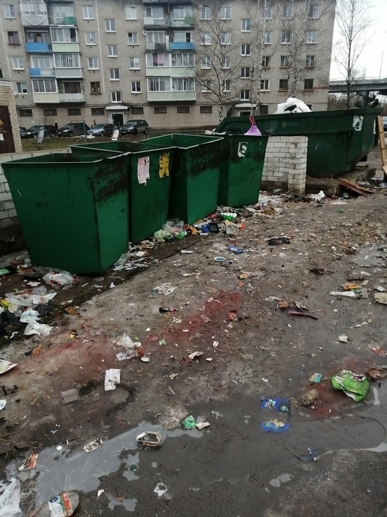 Мусорный «апокалипсис» всерьез озадачил жителей Тверской области