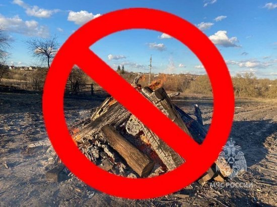 В Курской области МЧС уведомило о запрете 28 марта контролируемых отжигов травы
