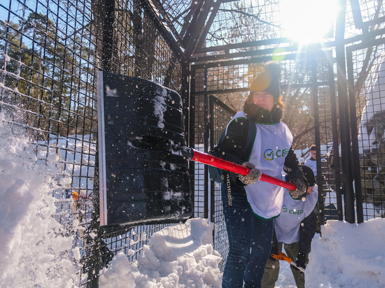 Волонтеры крупного банка приняли участие в акции по очистке зоопарка от снега