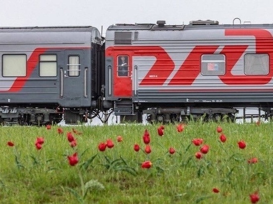 Фестиваль тюльпанов в Калмыкии можно посетить на поезде