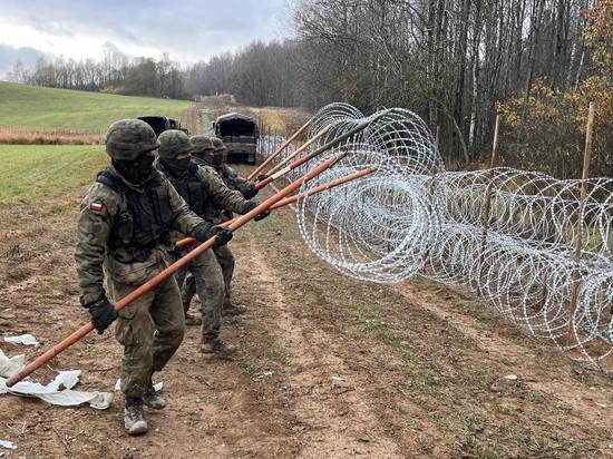 Польских пограничников забросали камнями и палками на границе с Белоруссией
