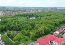 Проект благоустройства парка Макса Ашманна в Калининграде получил положительное заключение экспертизы