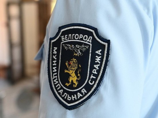 В Белгороде набирают сотрудников в муниципальную стражу с зарплатой до 37 тысяч рублей