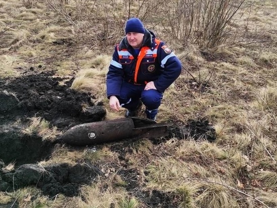 В Курской области обезвредили авиабомбу весом 50 кг