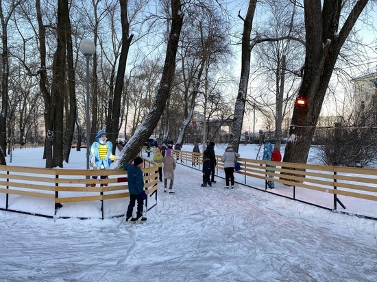 Каток в Петровском парке Архангельска завершил работу