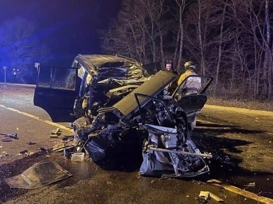 В ДТП под Орлом погибла эксперт программы «Андрей Малахов. Прямой эфир» Светлана Левина