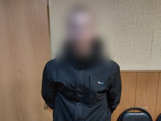 В Тульской области задержали 20-летнего мошенника из Алексина
