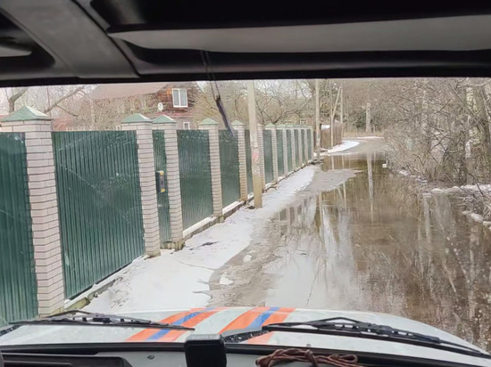 Спасатели проверили уровень воды в реке Тосна после начала паводков