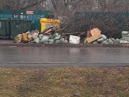  В Моршанске мусор заполонил детские площадки