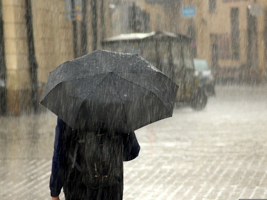 Дождь и порывистый ветер пообещали жителям Калмыкии 29 марта