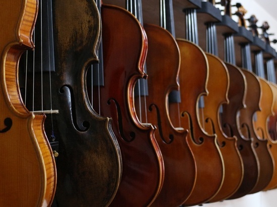 Струнно-смычковые музыкальные инструменты начали производить в Нижнем Новгороде