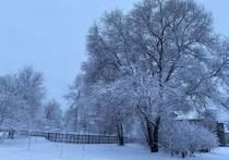 Главный синоптик Петербурга Александр Колесов рассказал о количестве снежного покрова, который наблюдается 29 марта в Петербурге. Снегопад в городе шел более 12 часов.