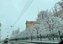 Главный синоптик Петербурга Александр Колесов рассказал о погоде на 29 марта. Он объяснил, когда снег прекратит портить горожанам весну.