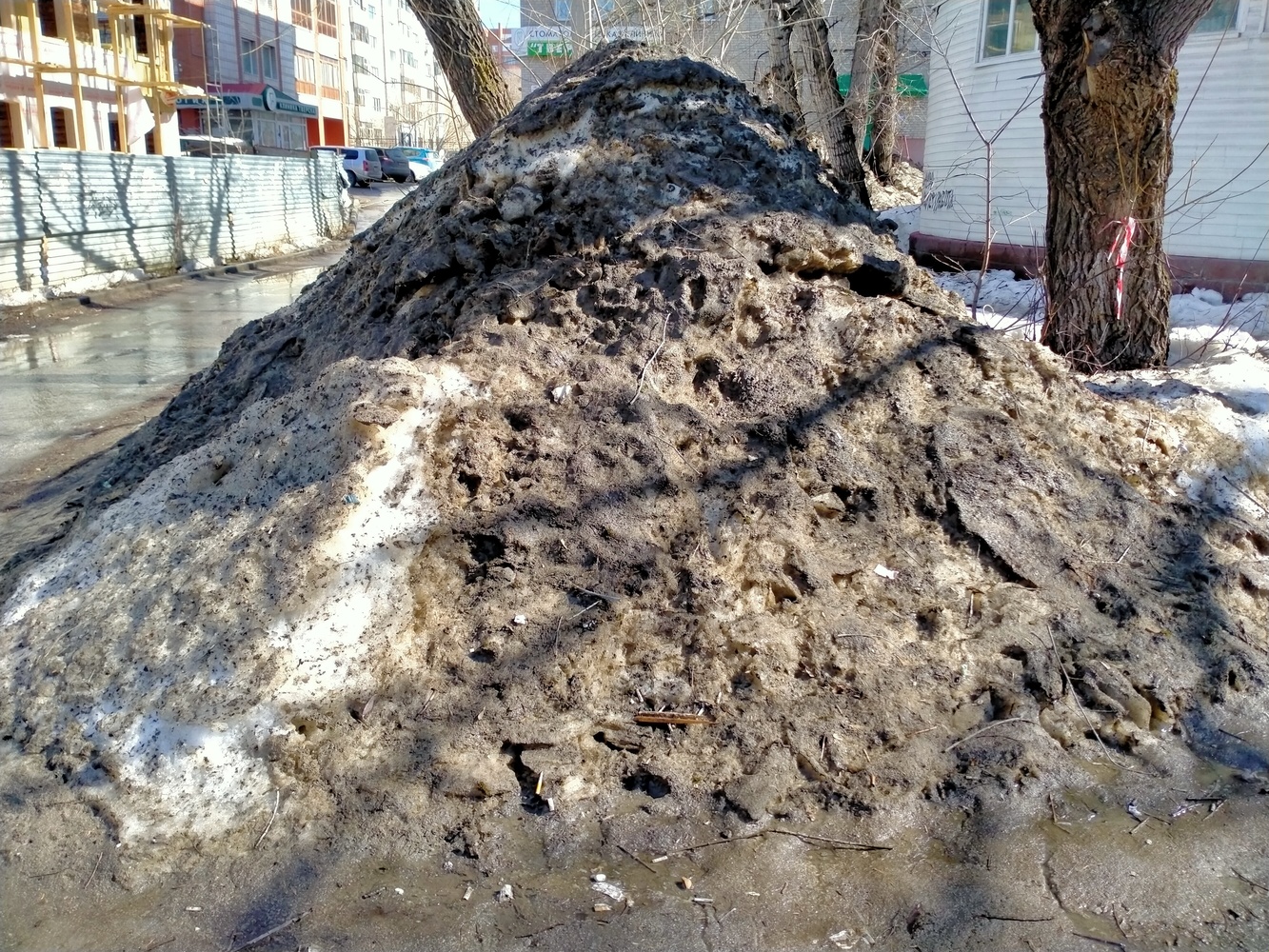 Черный снег и огромные лужи: фотографии мартовского Томска 