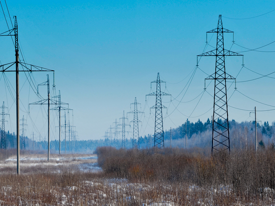 В 38 населенных пунктах Новгородской области пропало электричество
