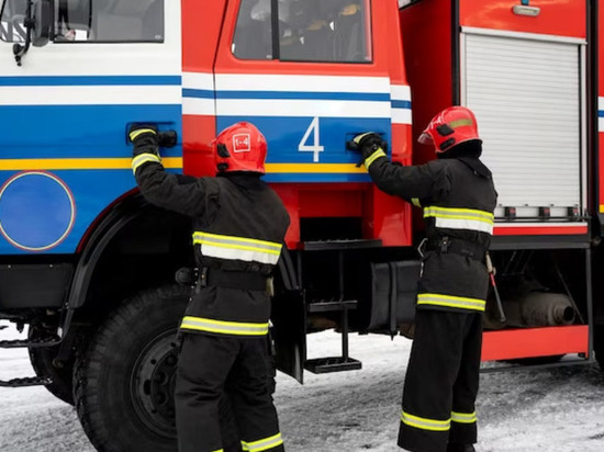 В Липецкой области в пожаре погибли парень и девушка