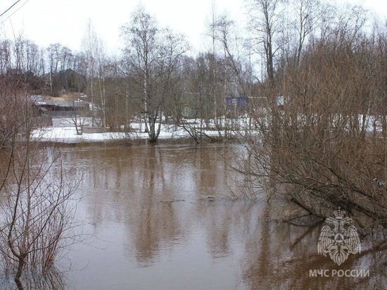 В Крестцах уровень воды на гидропосту реки Холова подходит к опасным значениям