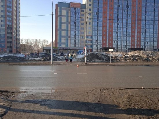 Полиция Новосибирска разыскивает водителя, сбившего девушку на пешеходном переходе