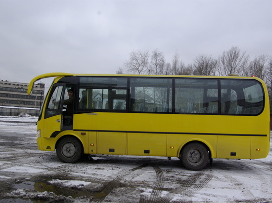В Калининграде микроавтобус сбил несовершеннолетнюю девочку