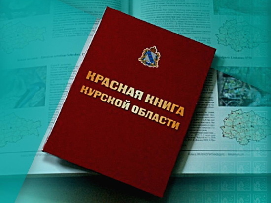 Утверждён порядок ведения Красной книги Курской области